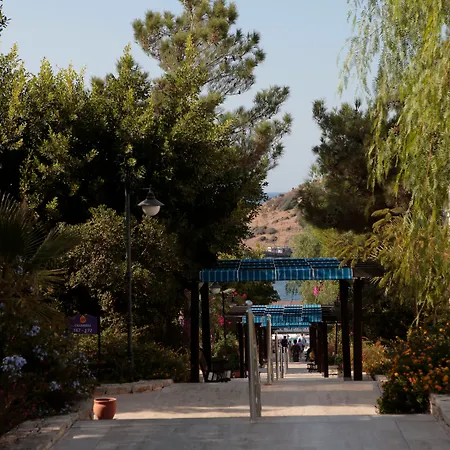 Cactus Mirage Family Club Курортный комплекс