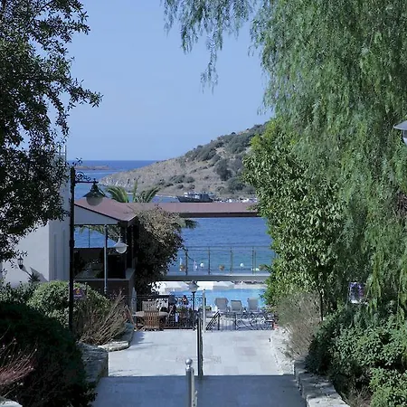 Cactus Mirage Family Club 4*