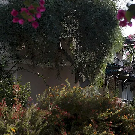 Cactus Mirage Family Club Курортный комплекс Бодрум