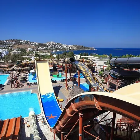 Cactus Mirage Family Club