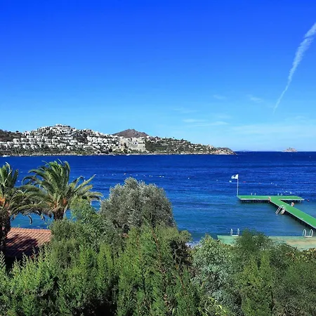 Cactus Mirage Family Club