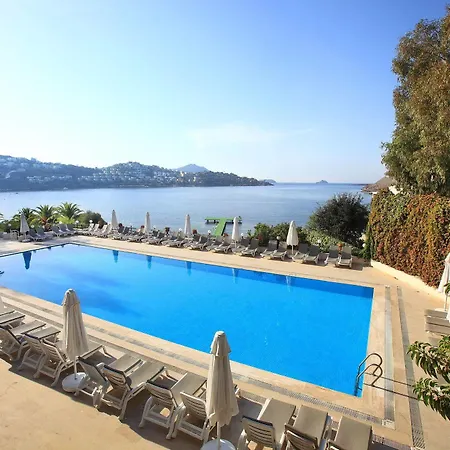 Cactus Mirage Family Club