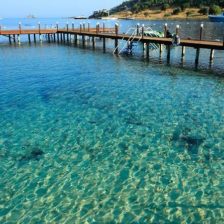 Cactus Mirage Family Club Бодрум