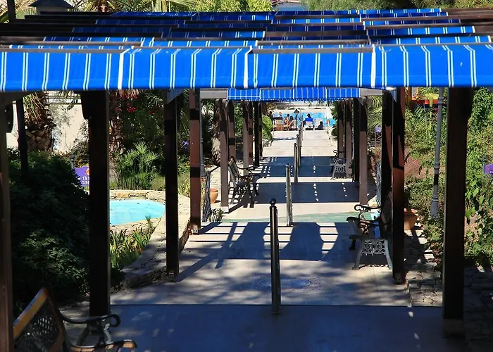 Cactus Mirage Family Club Feriested 4*