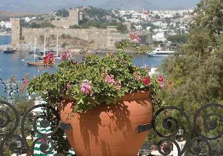 Cactus Mirage Family Club Ośrodek wypoczynkowy Yalıkavak