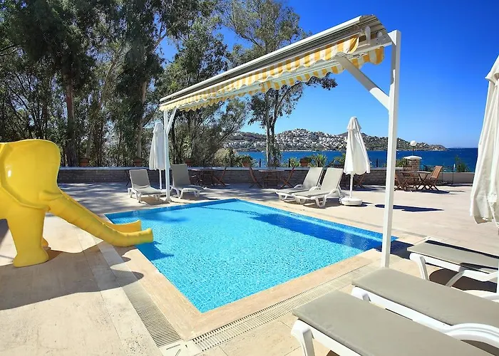 Cactus Mirage Family Club