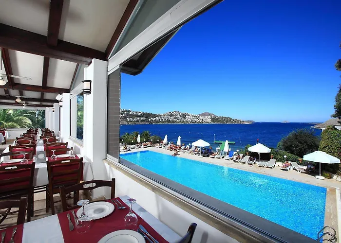 Cactus Mirage Family Club