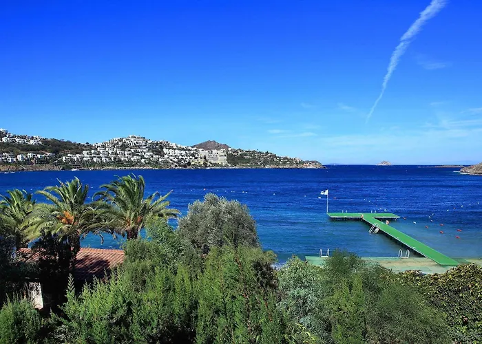 Cactus Mirage Family Club