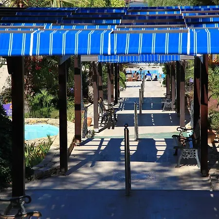 Cactus Mirage Family Club Feriested 4*