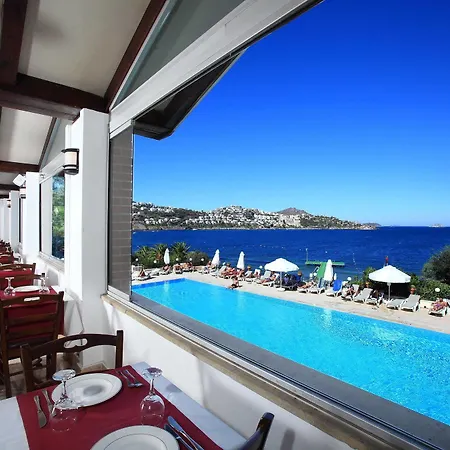 Cactus Mirage Family Club