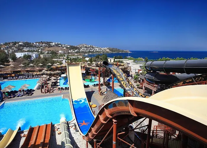 Cactus Mirage Family Club