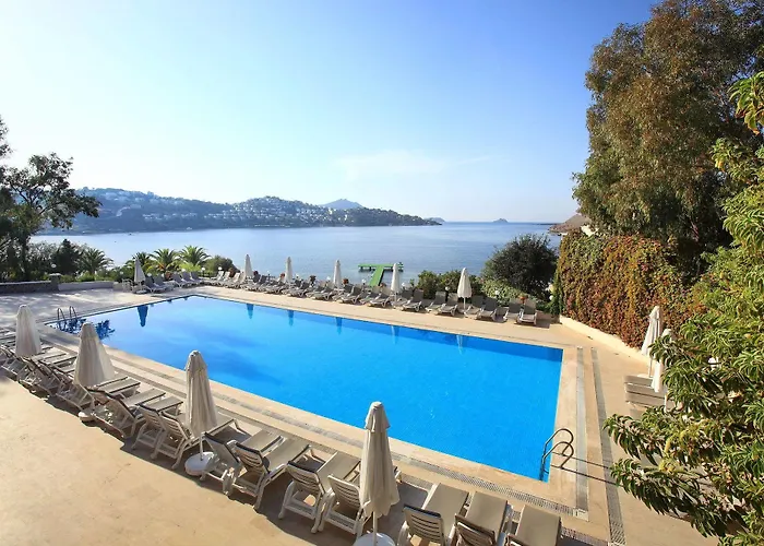 Cactus Mirage Family Club